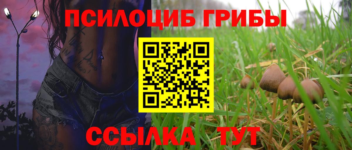 Галлюциногенные грибы Cubensis  где продают   Южно-Сахалинск  Вход с VPN 